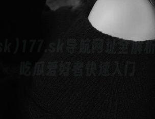 177.sk导航网址全解析，助力吃瓜爱好者快速入门