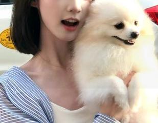 娱乐718sx网站体验：吃瓜党必备的娱乐利器