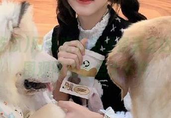 网曝吃瓜免费资源直达，轻松围观网络热点大事件