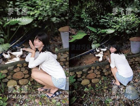 黑料社区网址登录技巧分享，助你轻松获取最热黑料