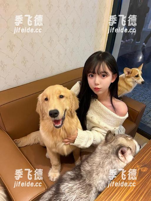 黑料网不打烊，观看最新吃瓜趣闻，永不迷路一起嗨！